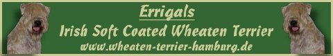 Banner Errigals